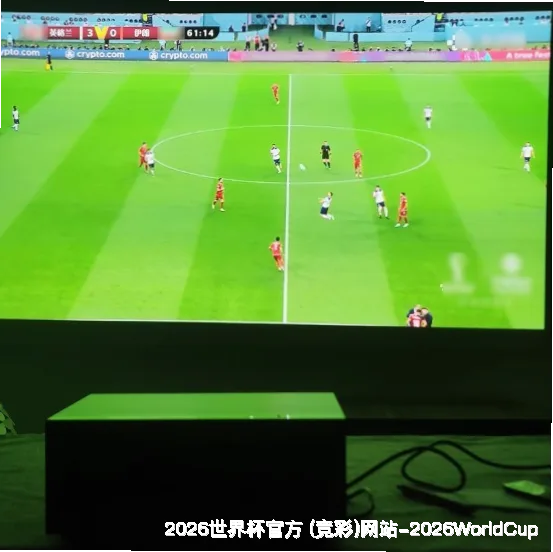 使用指南与风险提示